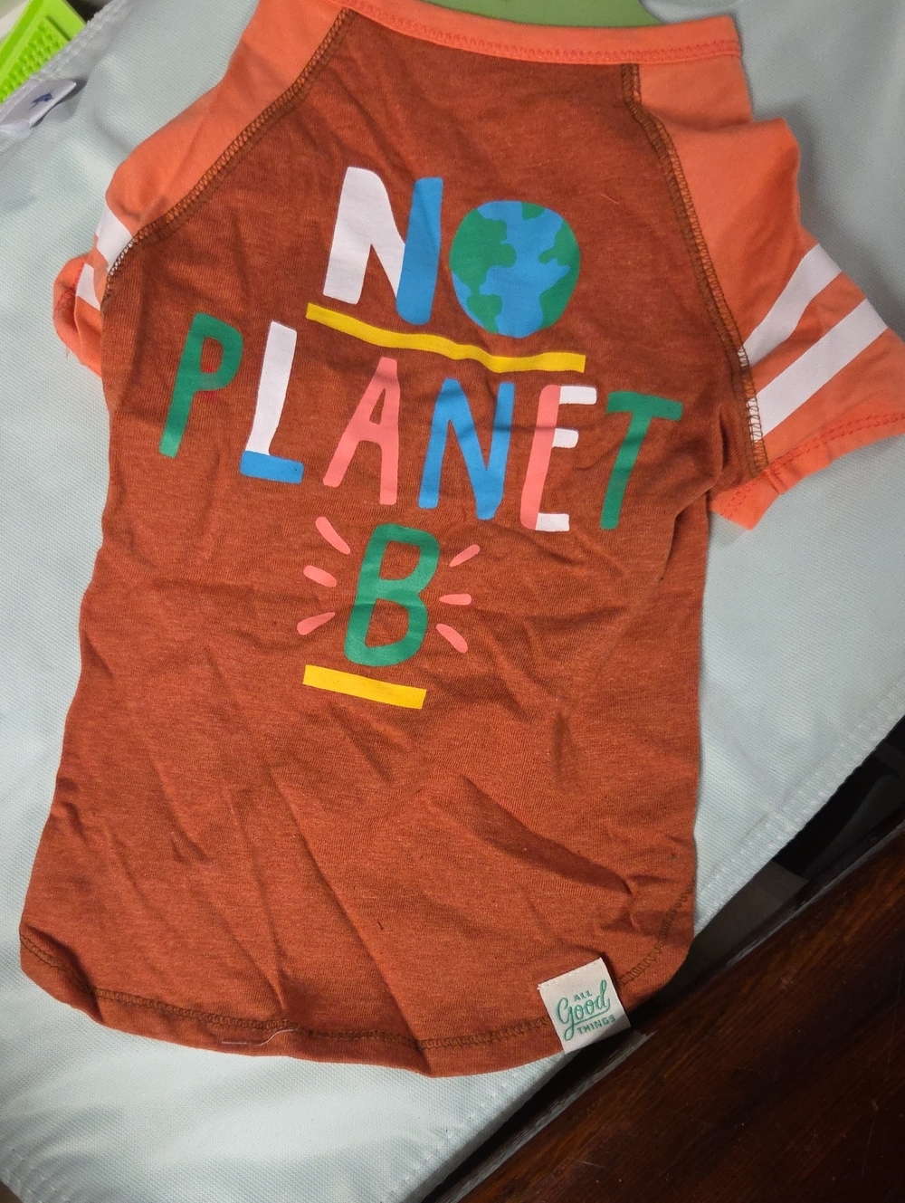 Goodthreads Orange 'No Planet B' Dog Tee